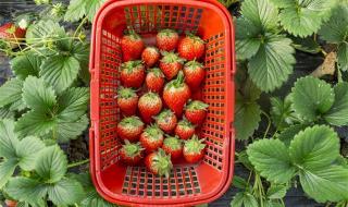 西北旅游详细攻略