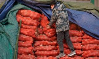 石家庄批发市场