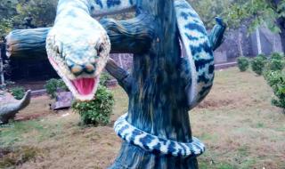 洛阳亚龙湾水上乐园