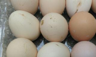 农夫山泉回应水有虫