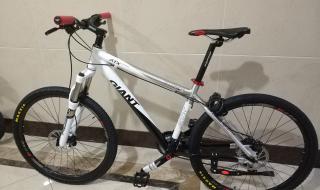 性价比最高的山地车